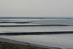 Wattenmeer Sandwatt Schlickwatt Nordsee